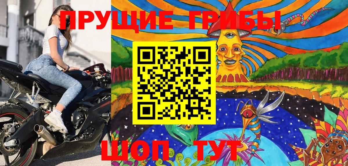 Строитель  сколько стоит  Вход с VPN  Псилоцибиновые грибы GOLDEN TEACHER 